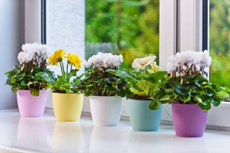 Pflanzkübel außen – Robuste Lösungen für Garten, Terrasse und Balkon